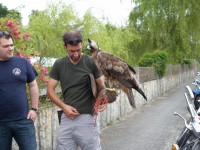 /album/fotogaleria-inicio/fiesta-iguanas-20-5-2011-017-jpg/